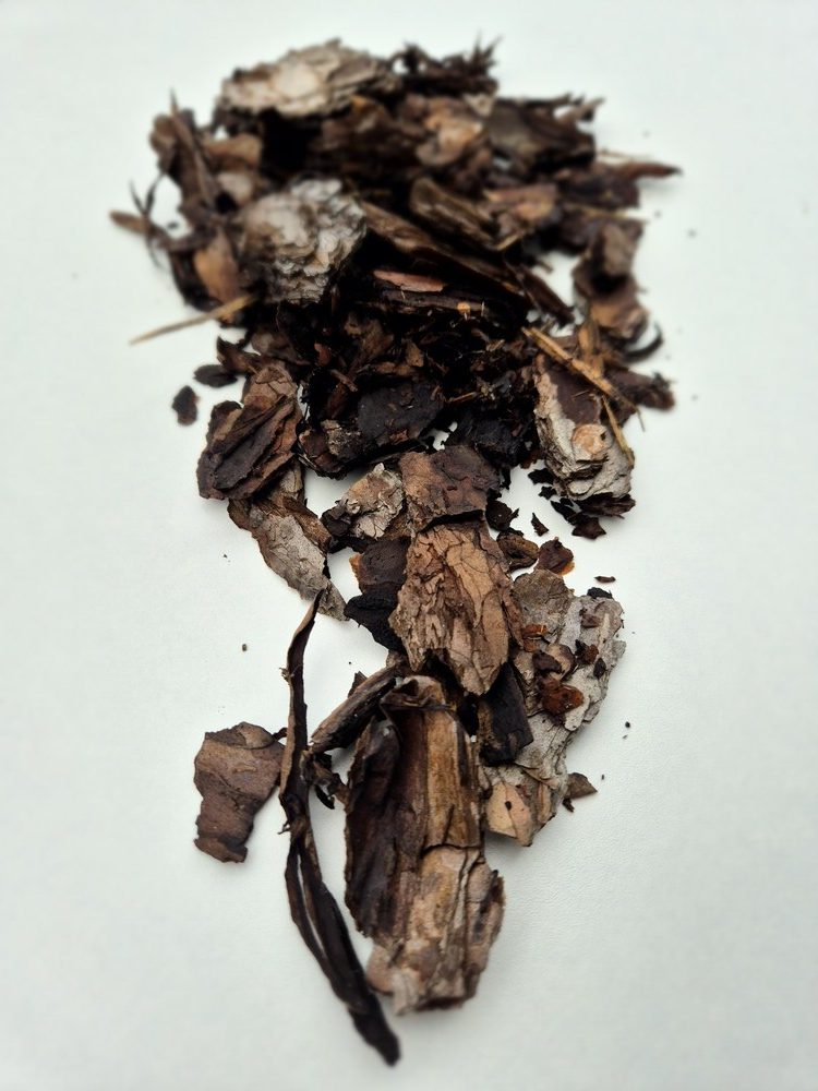 biomasa
