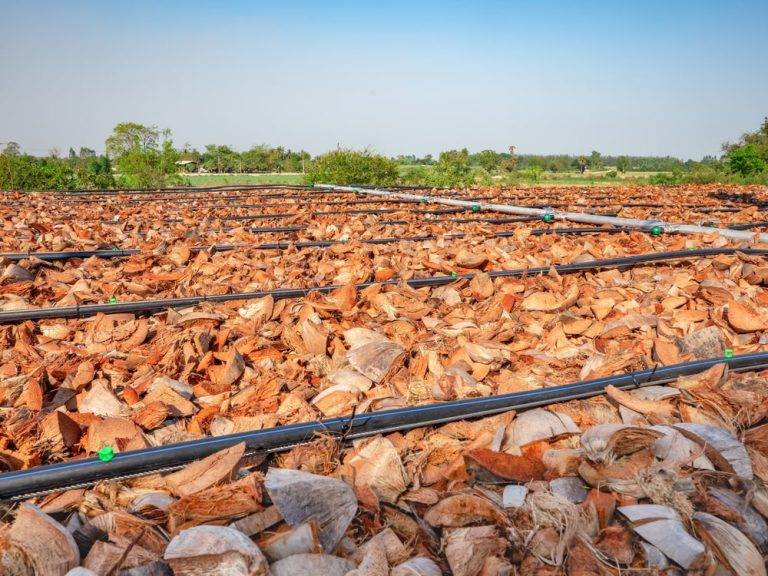 Wymiana złoża biologicznego i biomasy w biofiltrze do neutralizacji odorów